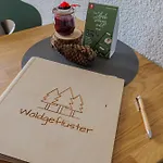 Mit Traumblick Im Wanderparadies Schwarzwald - Sauna -e-laden *