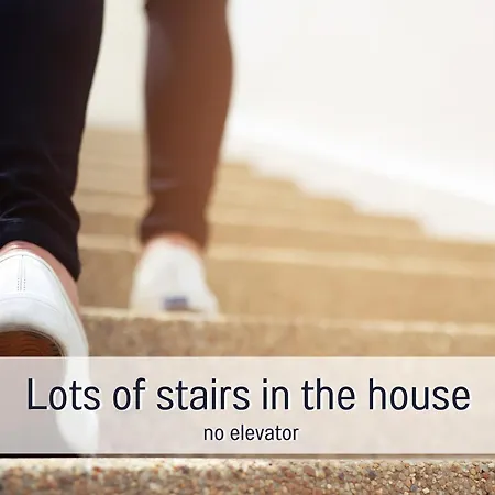 Waldgefluester Direkt An Skilift & Loipe Mit Sauna Im Haus Panoramabalkon * Todtnauberg