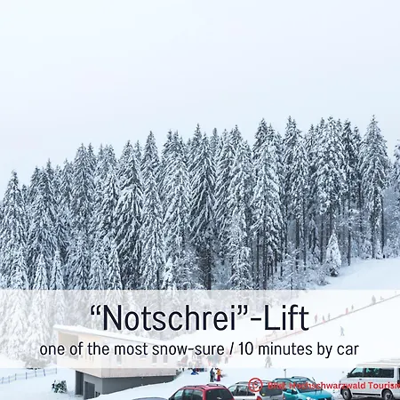 Waldgefluester Direkt An Skilift & Loipe Mit Sauna Im Haus Panoramabalkon Todtnauberg