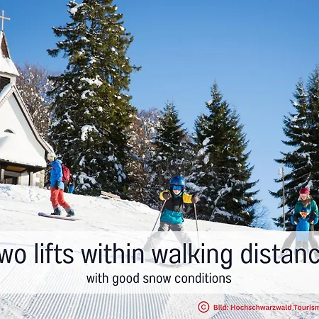 Waldgefluester Direkt An Skilift & Loipe Mit Sauna Im Haus Panoramabalkon