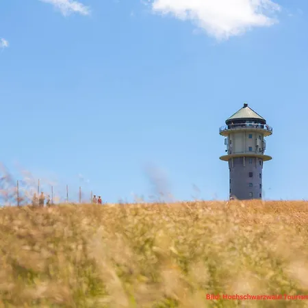 Apartment Waldgefluester Direkt An Skilift & Loipe Mit Sauna Im Haus Panoramabalkon Todtnauberg