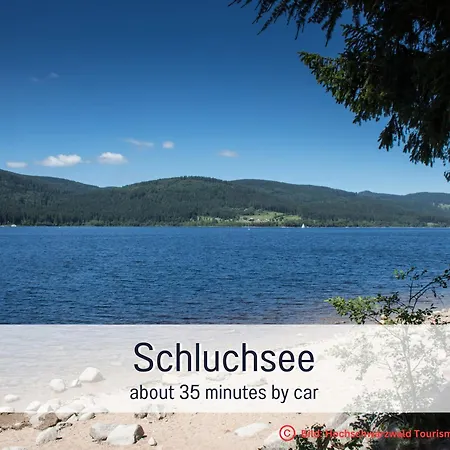 Mit Traumblick Im Wanderparadies Schwarzwald - Sauna -e-laden * Todtnauberg